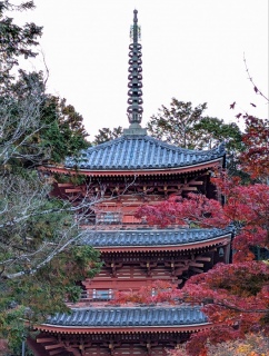 �g���̍��яH118