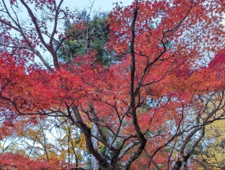 �g���̍��яH122