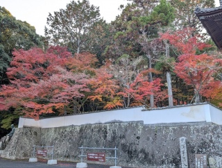 �g���̍��яH125