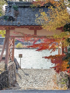 ���k�N���X�}�X�̖�