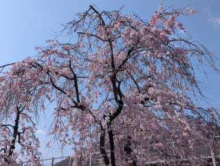 �������̏t3