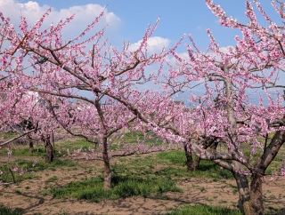 �������̏t10