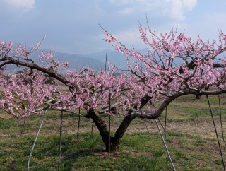 �������̏t16