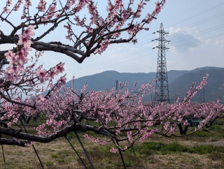 �������̏t20