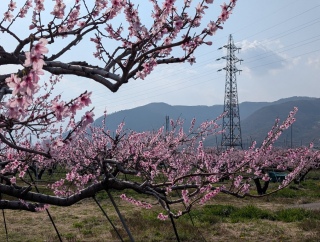 �������̏t21