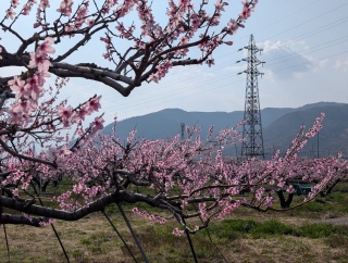 �������̏t19