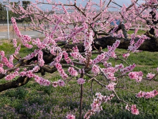 �������̏t23