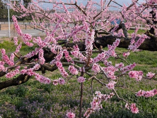 �������̏t22