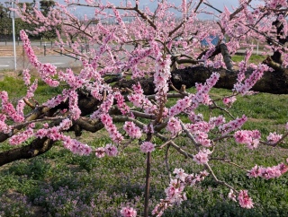 �������̏t24