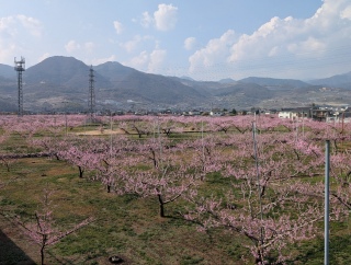 �������̏t27