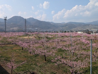 �������̏t26