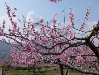 �������̏t30