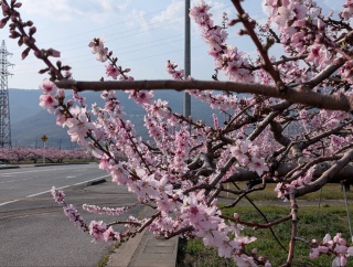 �������̏t28