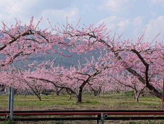 �������̏t32