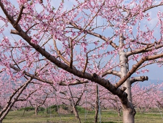 �������̏t35