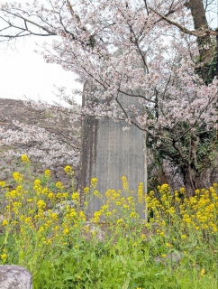 �������̏t45