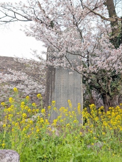 �������̏t43