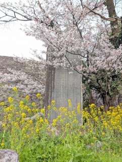 �������̏t44