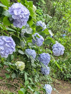 �s���̐���54
