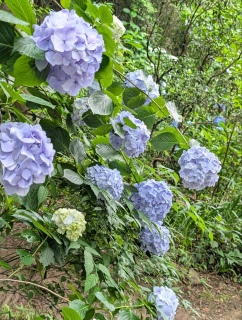 �s���̐���53