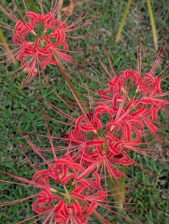 ���H68