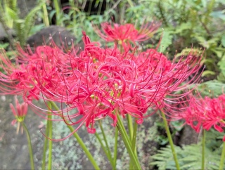 ���H101